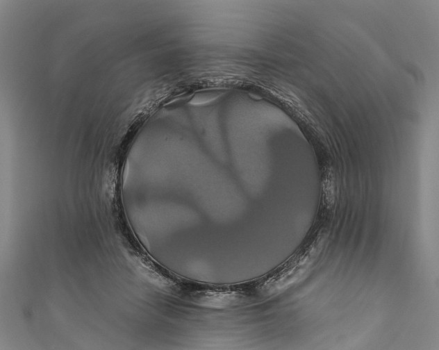 X0000110990458200907101434