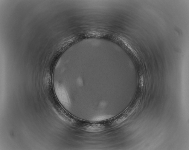 X0000110990459200907101434