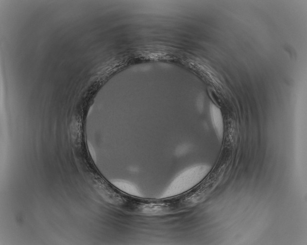 X0000110990461200907101434