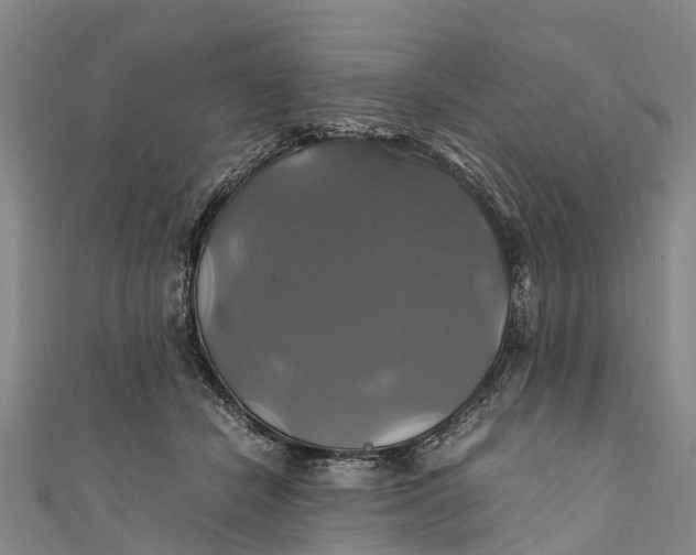 X0000110990462200907101434