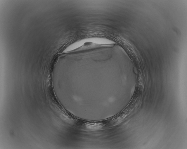 X0000110990465200907101434