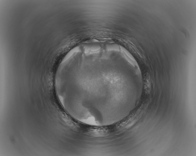 X0000110990466200907101434