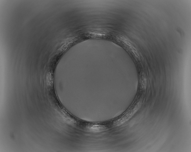 X0000110990467200907101434
