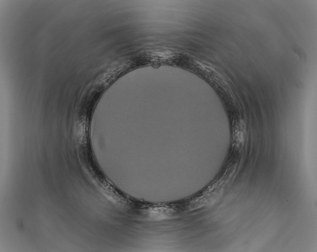 X0000110990468200907101434