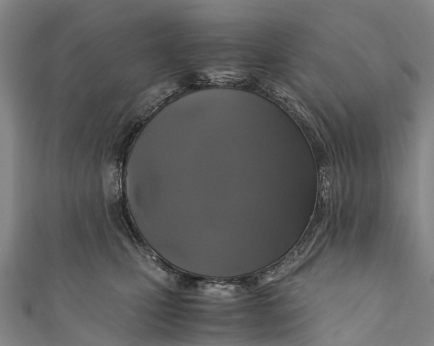 X0000110990471200907101434