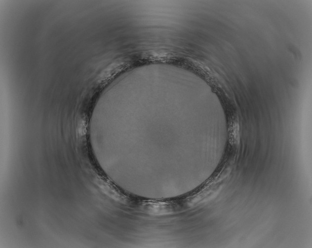 X0000110990472200907101434