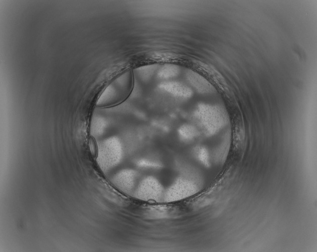 X0000110990473200907101434