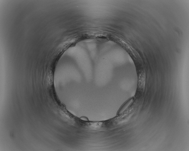 X0000110990474200907101434