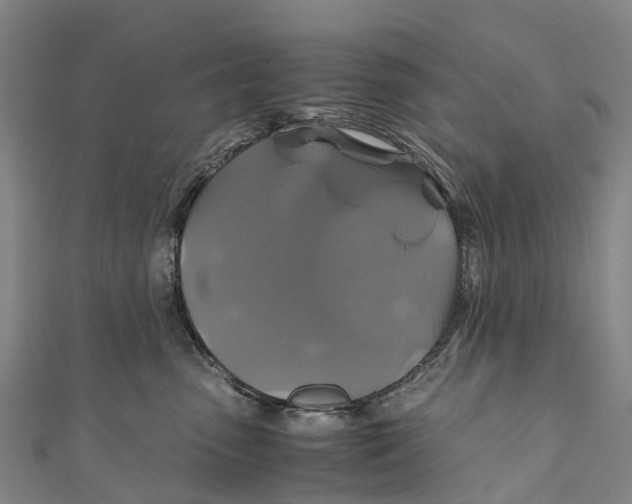 X0000110990475200907101434