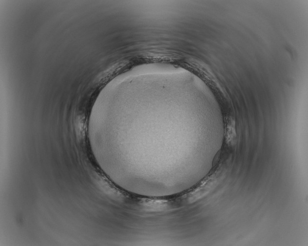 X0000110990476200907101434