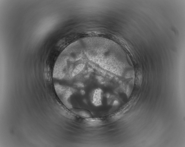 X0000110990477200907101434
