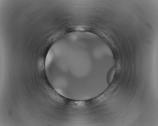 X0000110990478200907101434