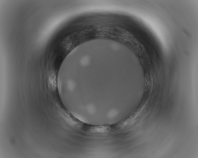 X0000110990479200907101434