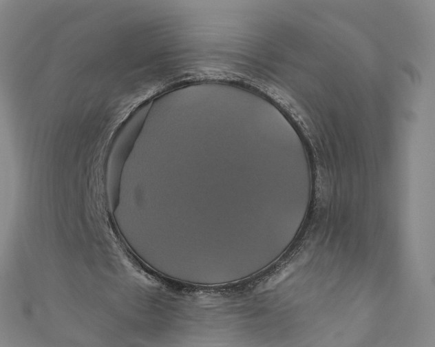 X0000110990481200907101434