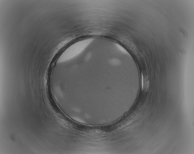 X0000110990483200907101434