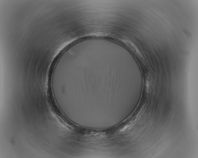 X0000110990484200907101434