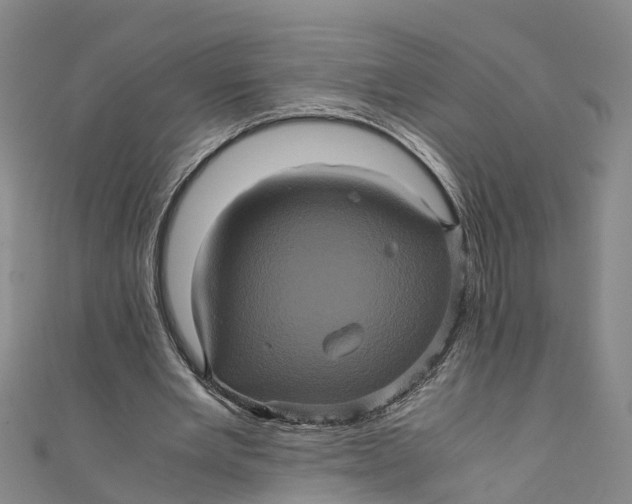 X0000110990485200907101434