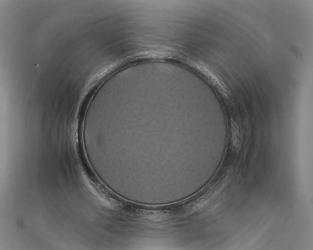 X0000110990486200907101434