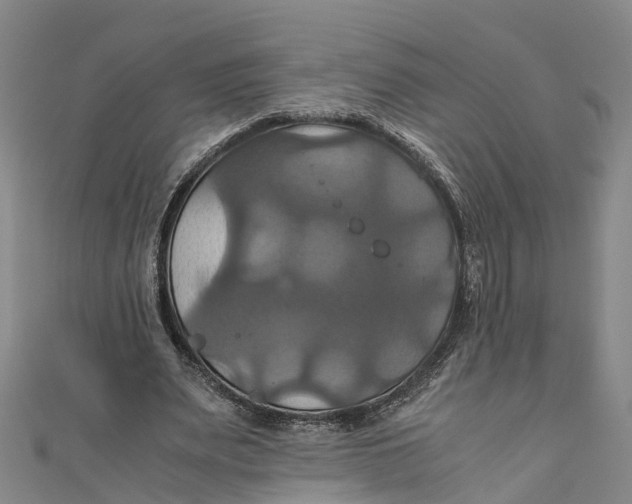 X0000110990487200907101434