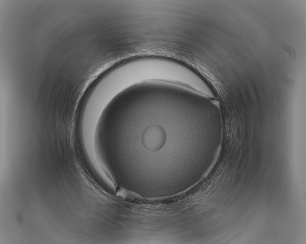 X0000110990488200907101434