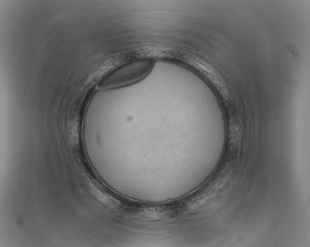 X0000110990489200907101434