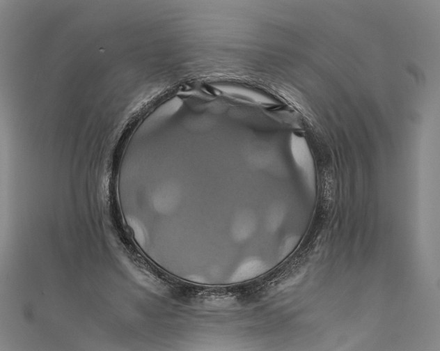 X0000110990491200907101434
