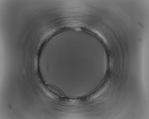 X0000110990493200907101434