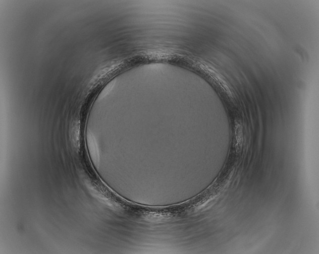 X0000110990494200907101434