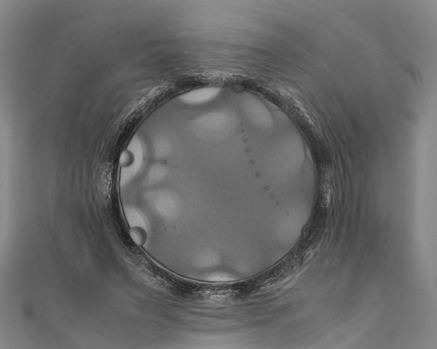 X0000110990495200907101434