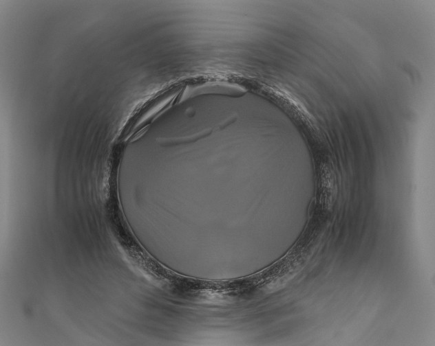 X0000110990496200907101434