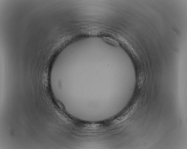X0000110990497200907101434