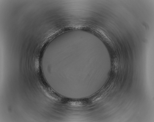 X0000110990500200907101433