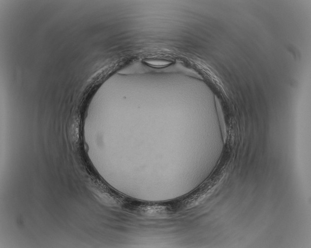 X0000110990501200907101433