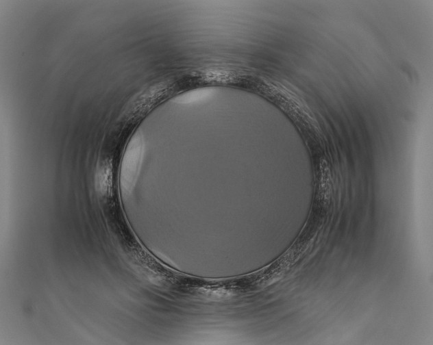 X0000110990502200907101433