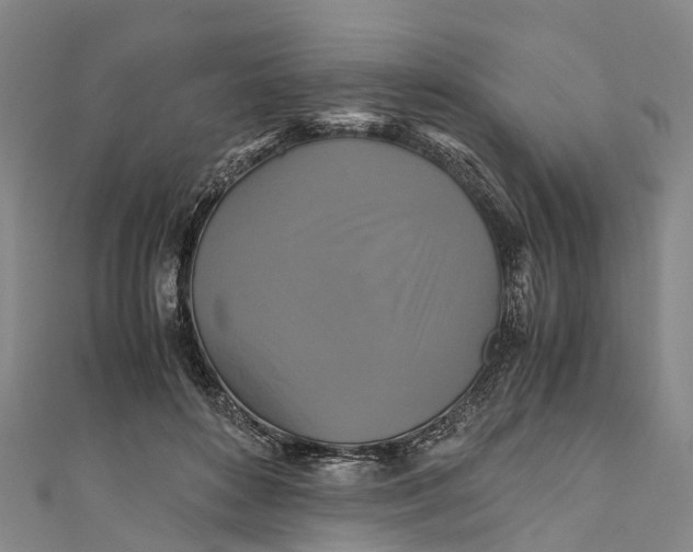 X0000110990504200907101433