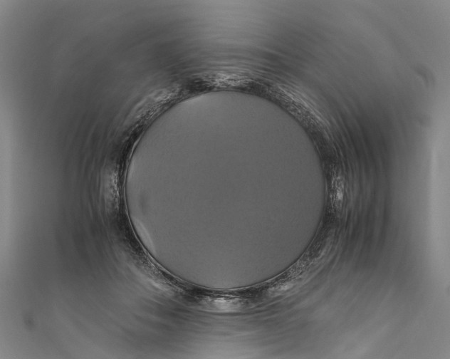 X0000110990506200907101433