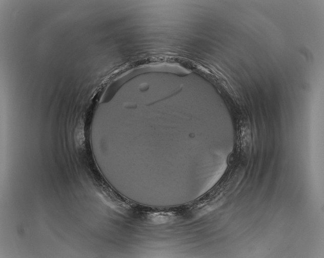X0000110990508200907101433