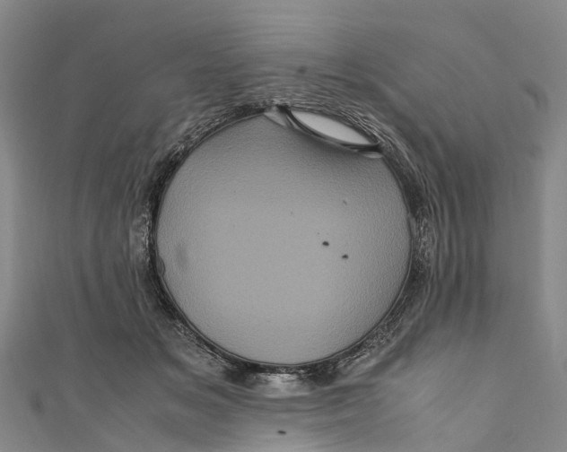 X0000110990509200907101433