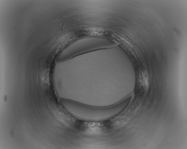 X0000110990512200907101433