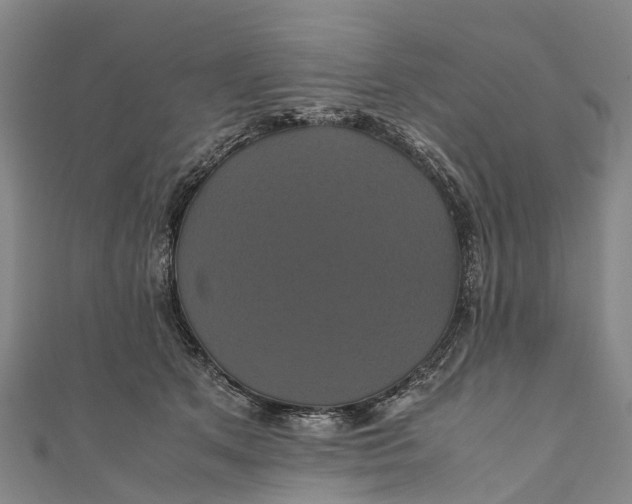 X0000110990513200907101433