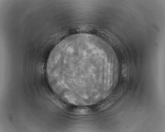 X0000110990514200907101433