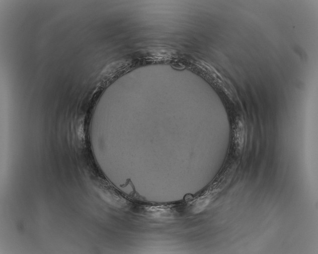 X0000110990516200907101433