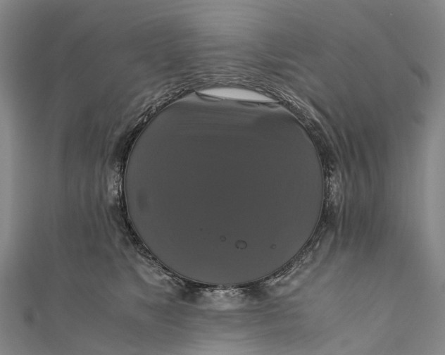 X0000110990517200907101433