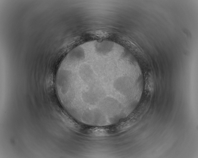 X0000110990518200907101433