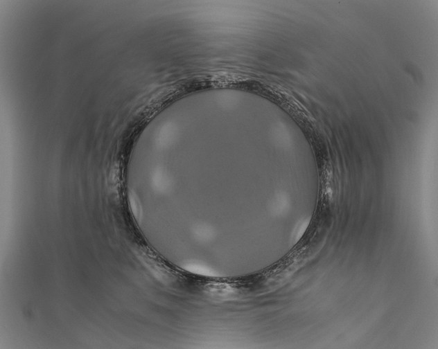 X0000110990519200907101433