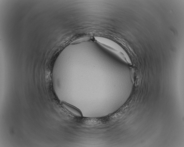 X0000110990521200907101433