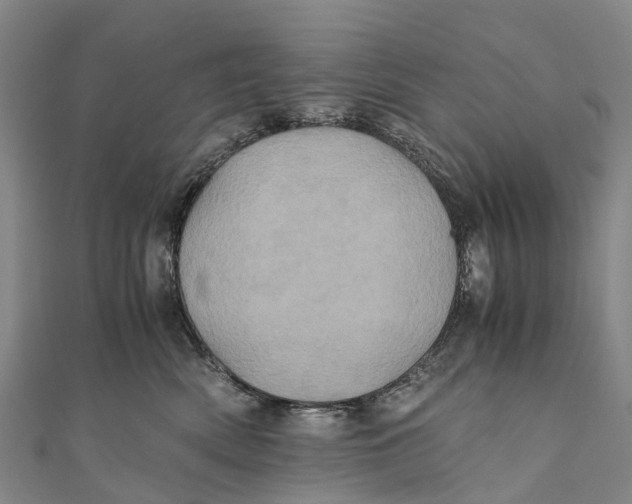 X0000110990522200907101433