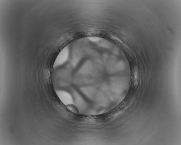 X0000110990523200907101433