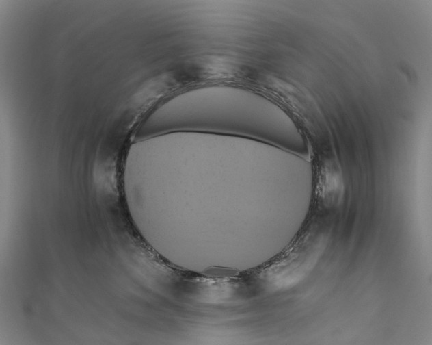 X0000110990524200907101433
