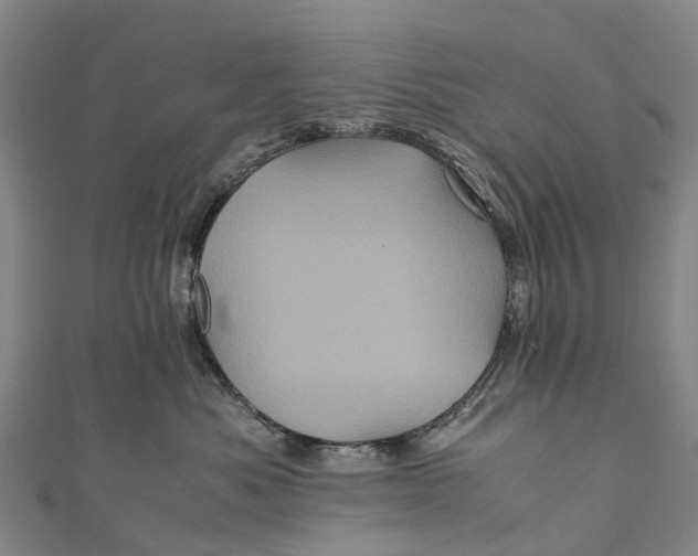 X0000110990525200907101433